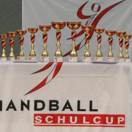 3.PLATZ W-NÖ-OÖ REGIONALFINALE HANDBALL Mädchen 2.Klassen