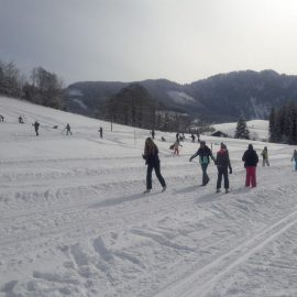 Nordisches Skifest der Schulen für Wien und Niederösterreich