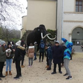 2D und 2E erkunden die Urgeschichte