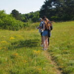 Auf dem Weg zur Perchtoldsdorfer Heide