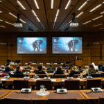 Im einem Konferenzraum der UNODC